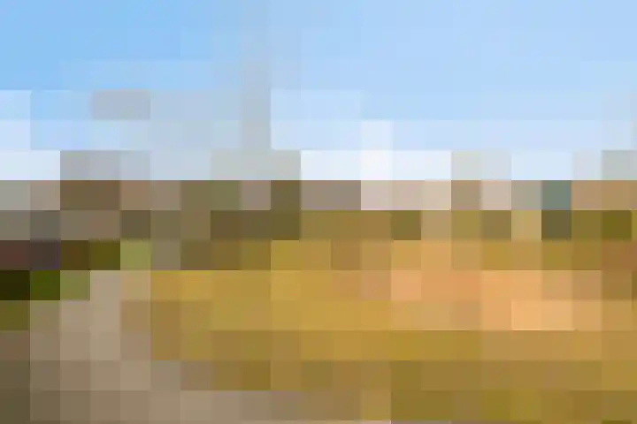 Prunusstraat 15 Borculo thumbnail 34