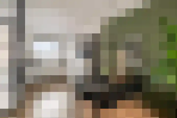 Prunusstraat 15 Borculo thumbnail 9