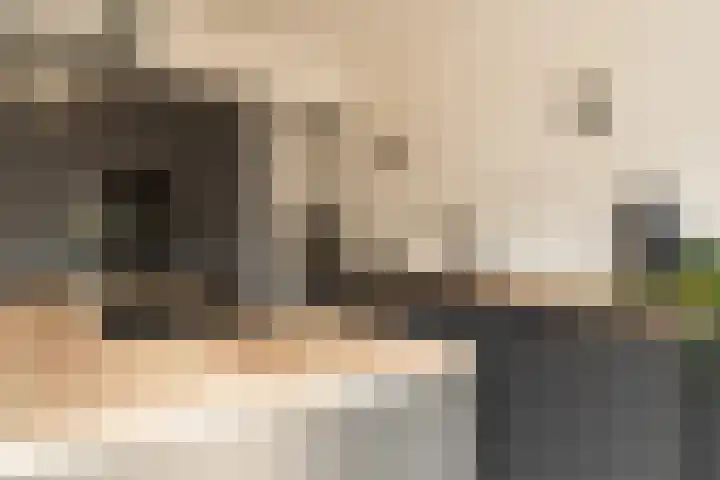 Prunusstraat 19 Ochten thumbnail 15