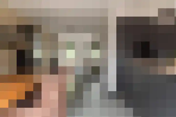 Prunusstraat 19 Ochten thumbnail 18