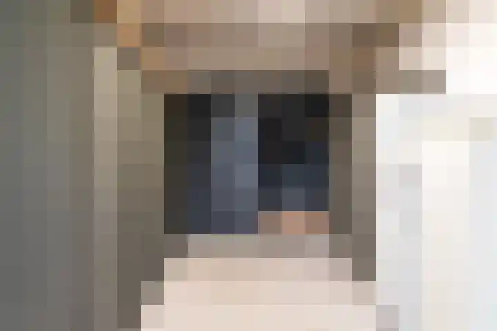 Prunusstraat 19 Ochten thumbnail 19