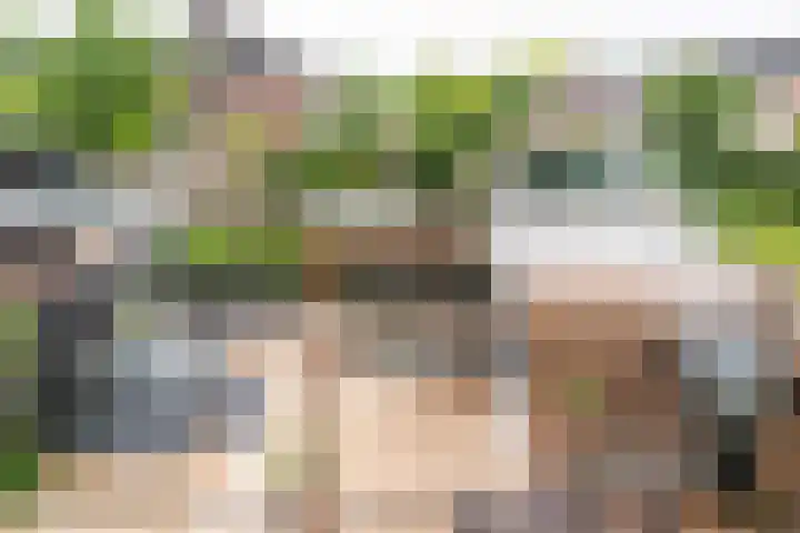 Prunusstraat 19 Ochten thumbnail 30