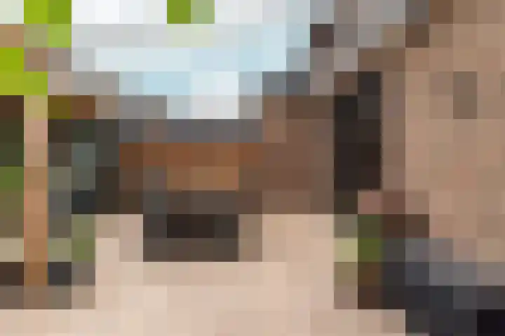Prunusstraat 19 Ochten thumbnail 33