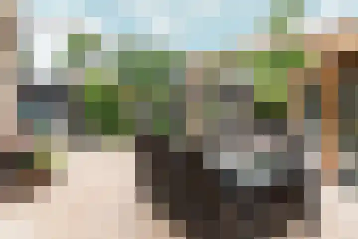Prunusstraat 19 Ochten thumbnail 34