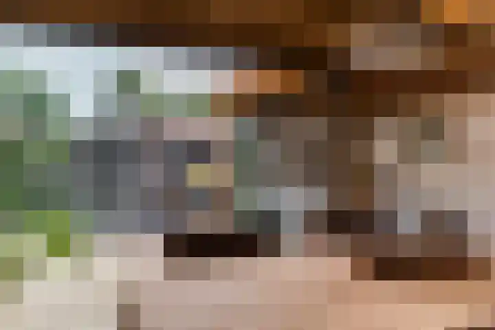 Prunusstraat 19 Ochten thumbnail 58