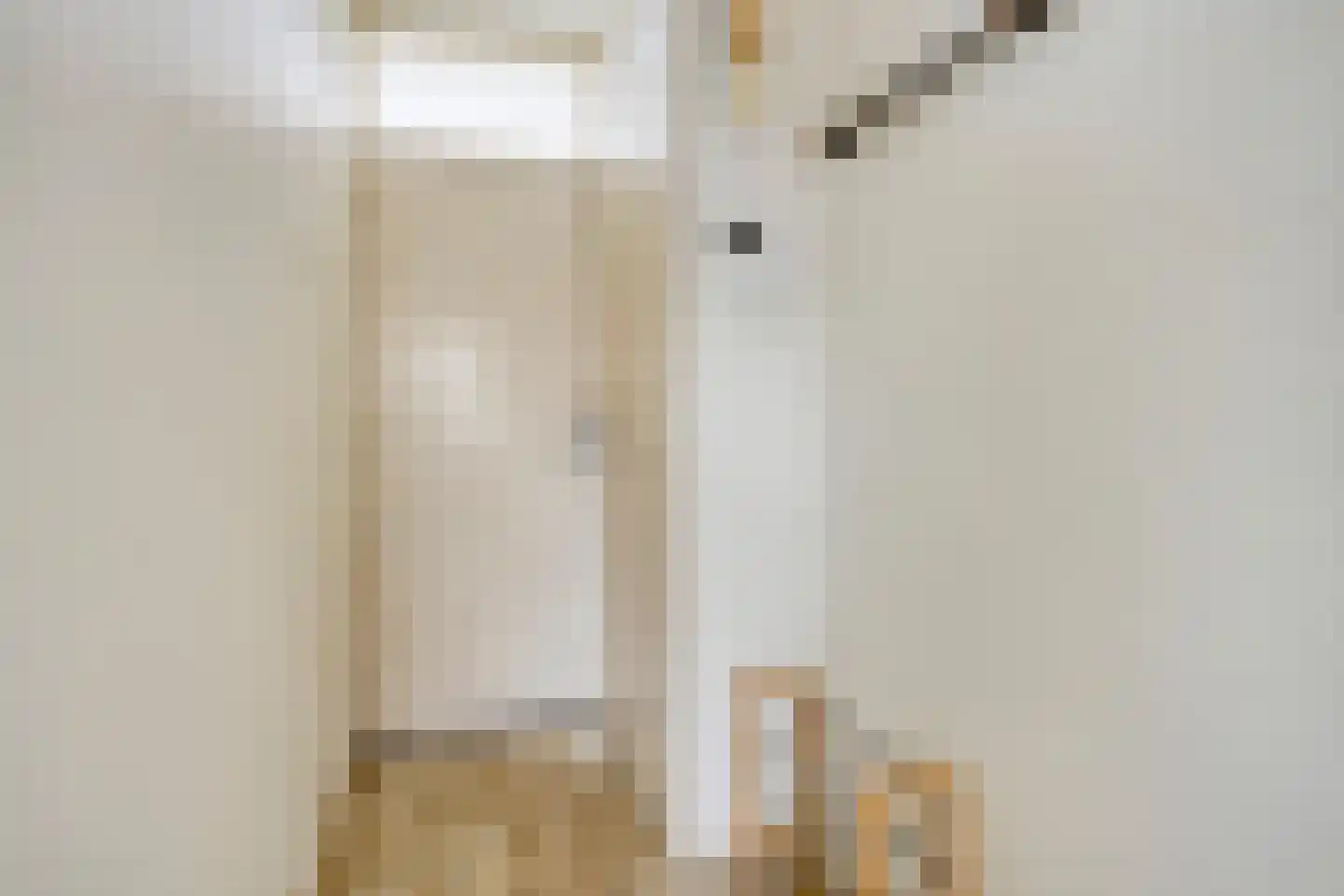 Prunusstraat 19 Tilburg thumbnail 11