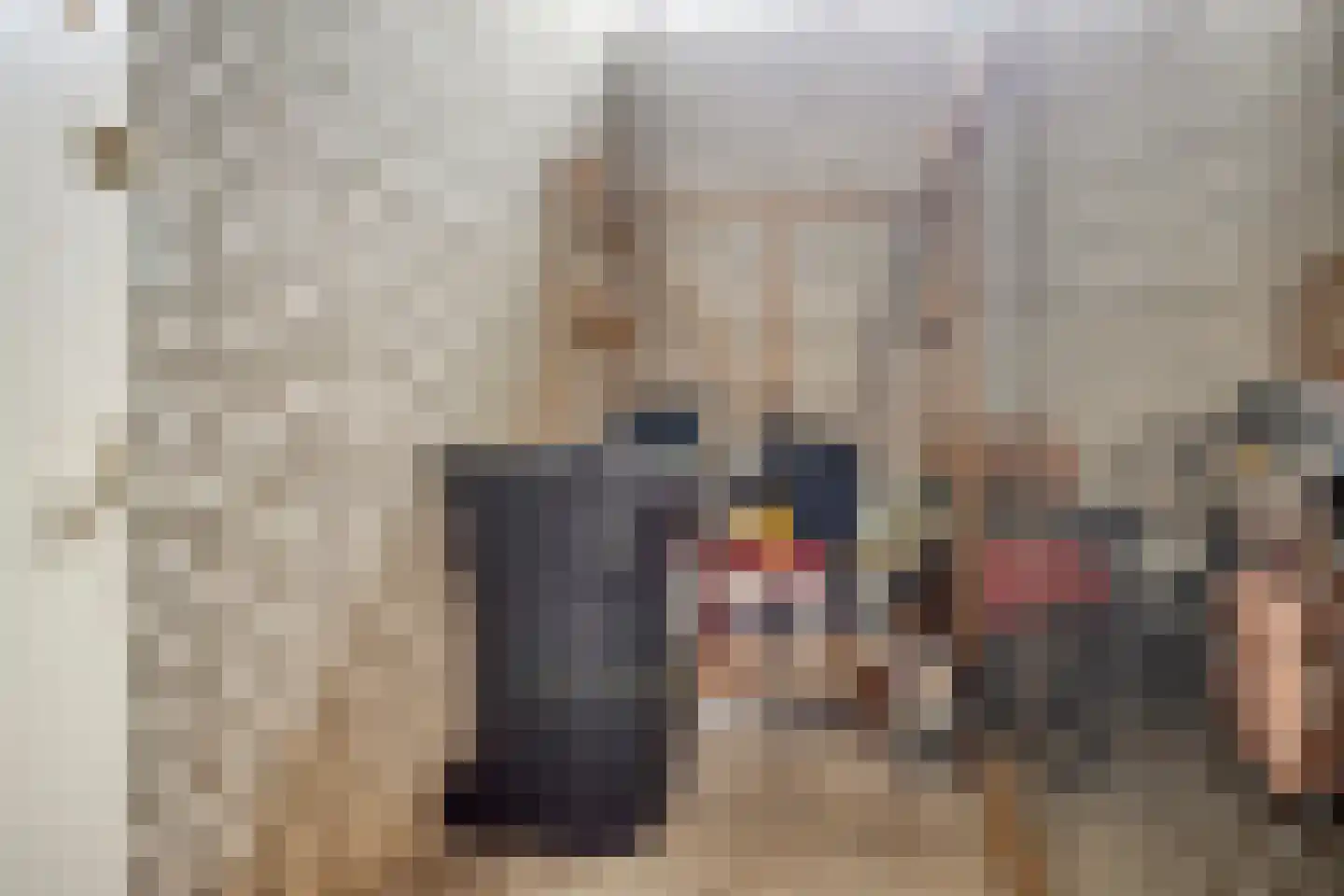 Prunusstraat 19 Tilburg thumbnail 27