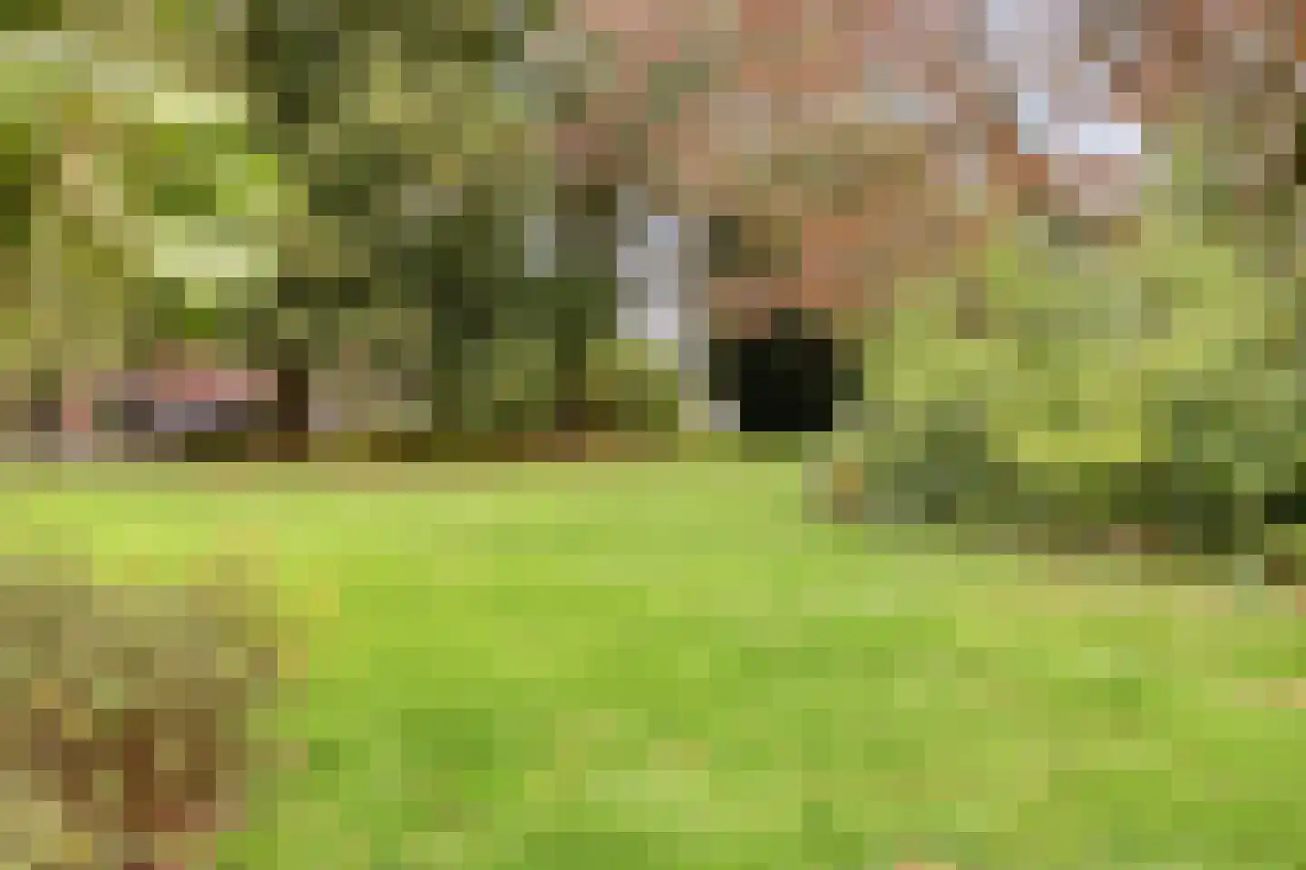 Prunusstraat 19 Tilburg thumbnail 32