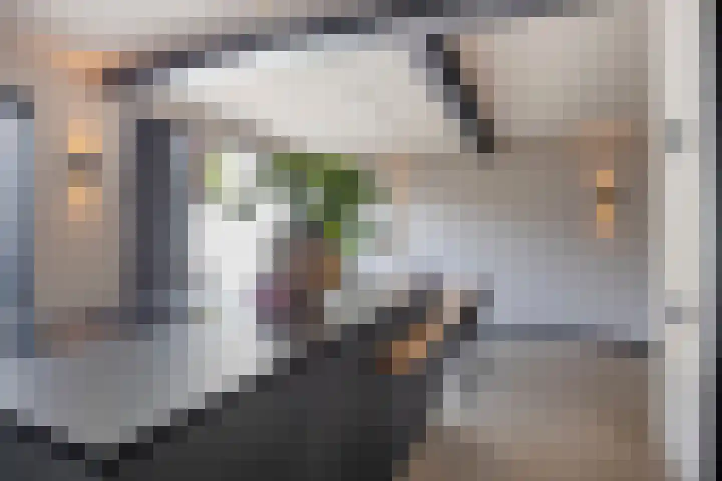 Prunusstraat 22 Oisterwijk thumbnail 11