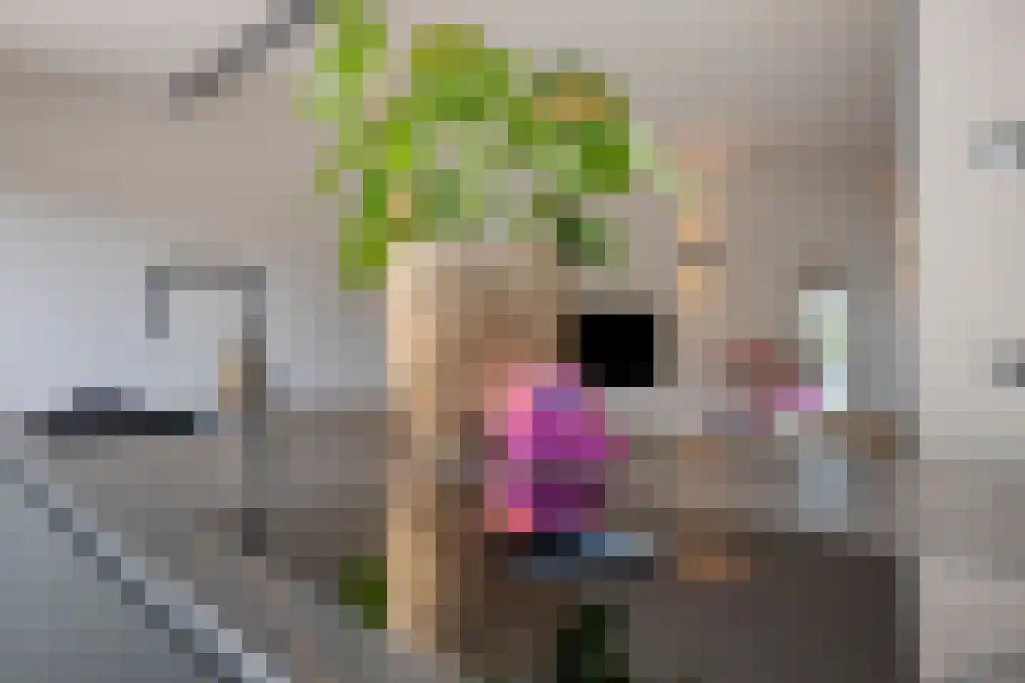 Prunusstraat 22 Oisterwijk thumbnail 12