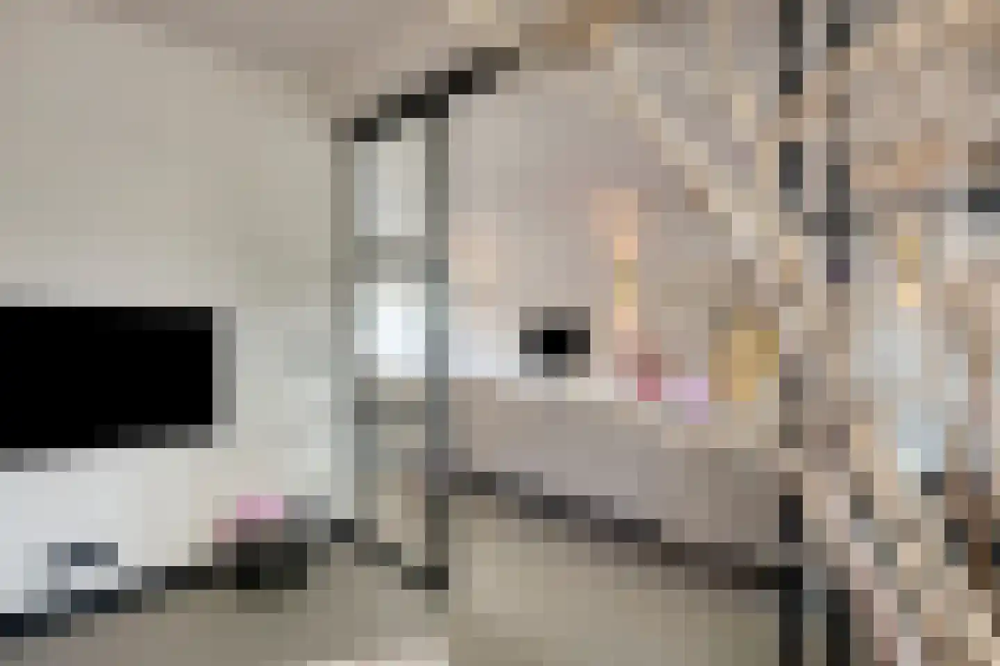 Prunusstraat 22 Oisterwijk thumbnail 20