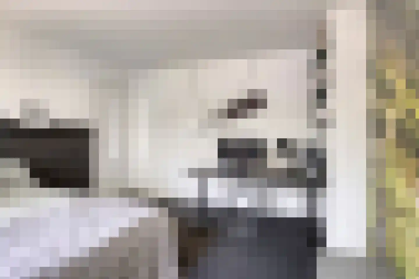 Prunusstraat 22 Oisterwijk thumbnail 24