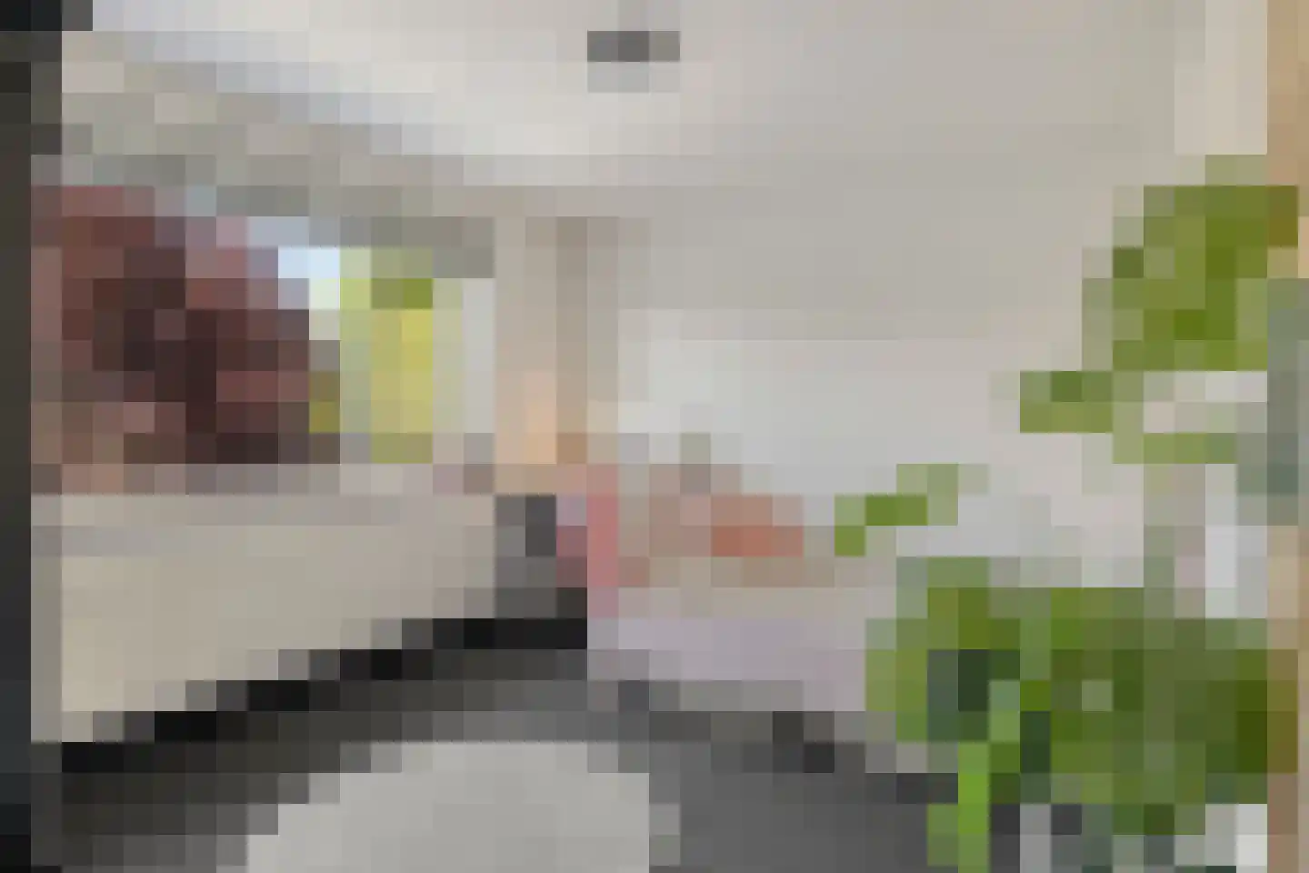 Prunusstraat 22 Oisterwijk thumbnail 25