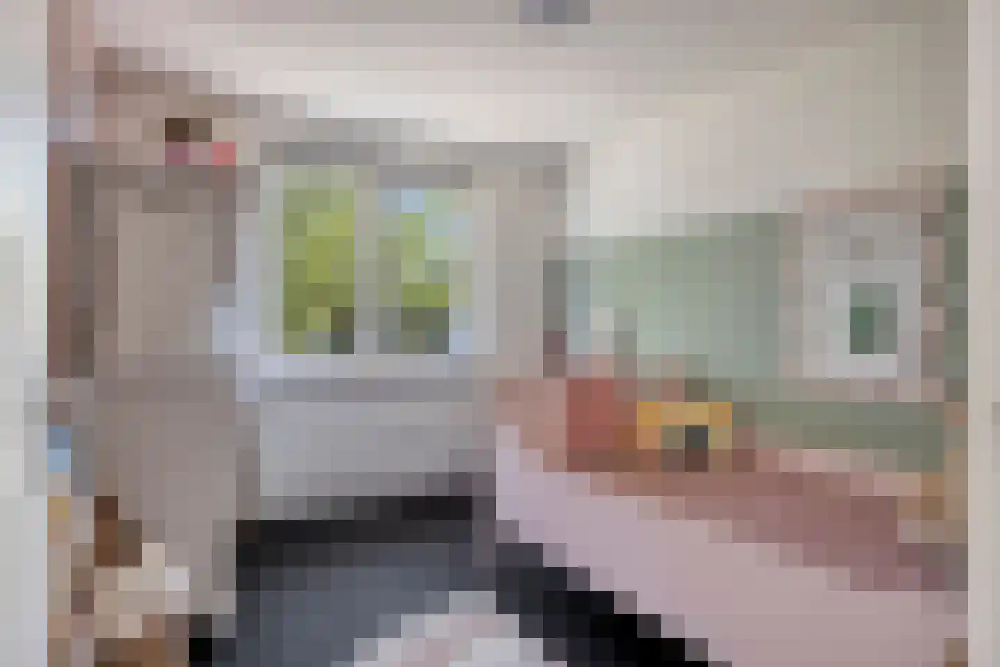 Prunusstraat 22 Oisterwijk thumbnail 28