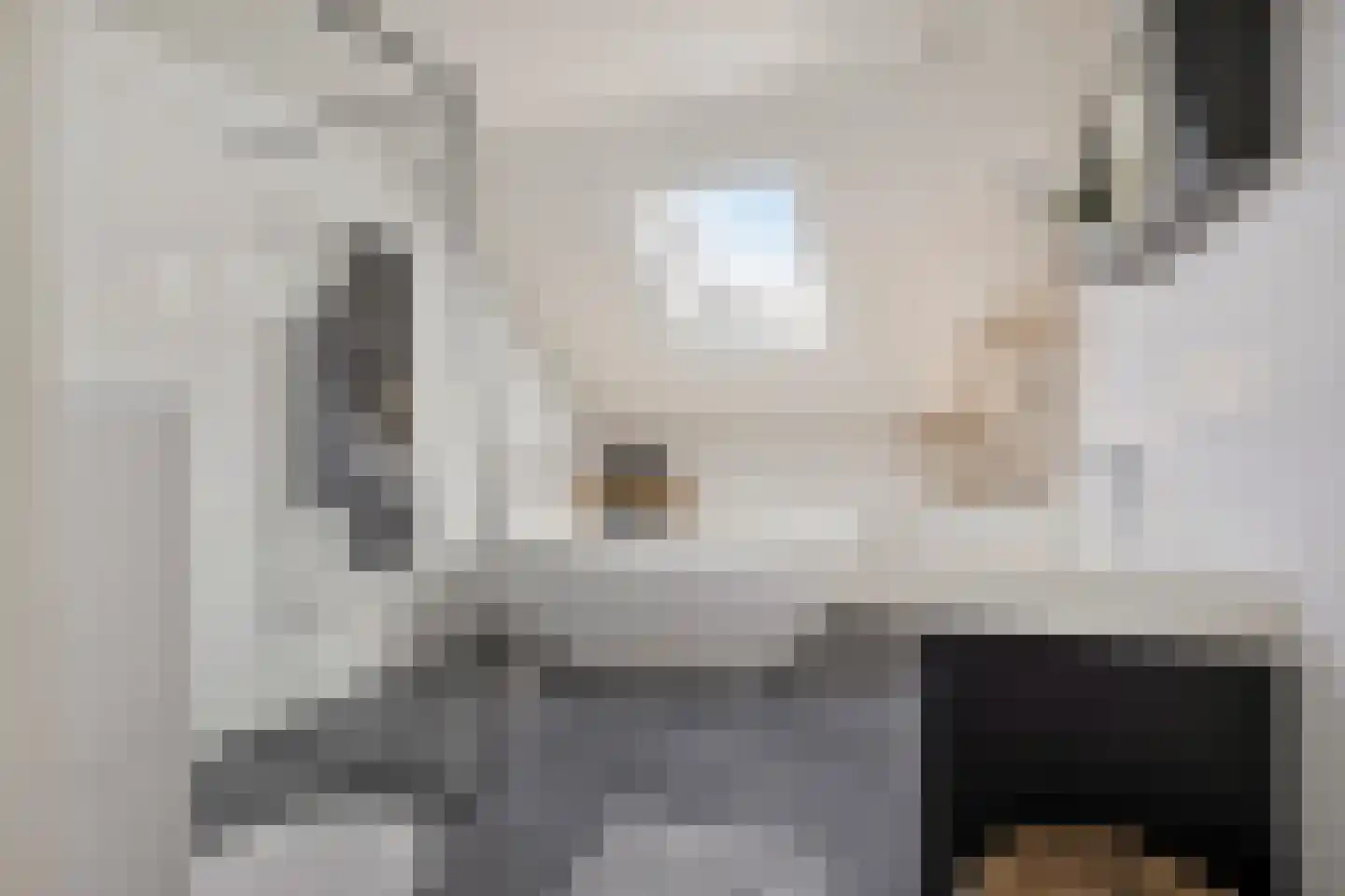 Prunusstraat 22 Oisterwijk thumbnail 30