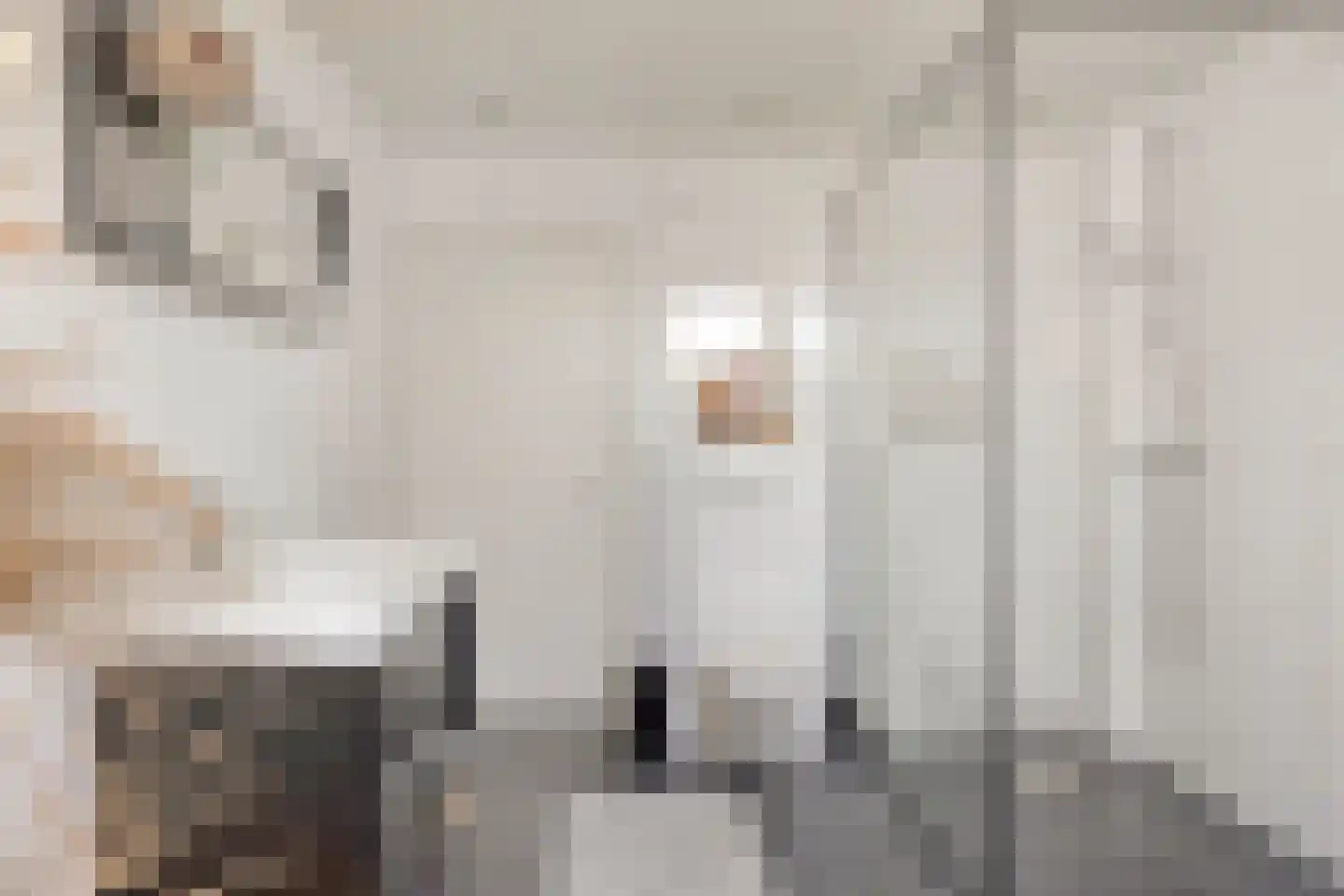 Prunusstraat 22 Oisterwijk thumbnail 31