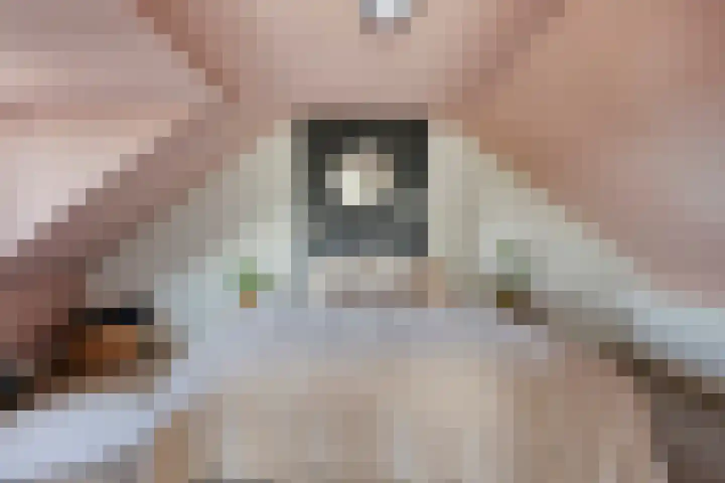 Prunusstraat 22 Oisterwijk thumbnail 36