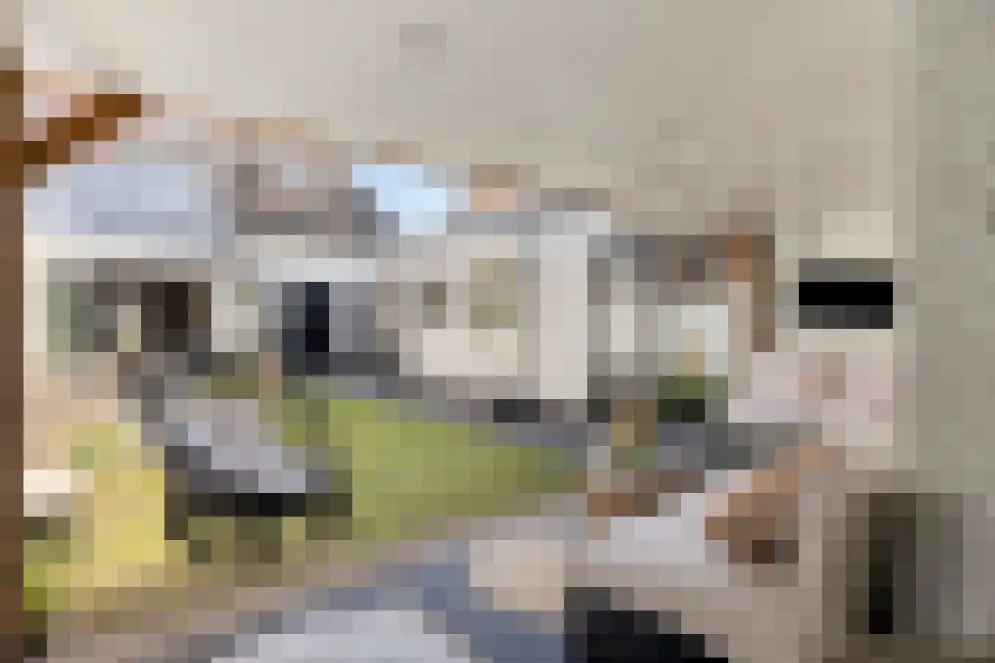 Prunusstraat 22 Oisterwijk thumbnail 44