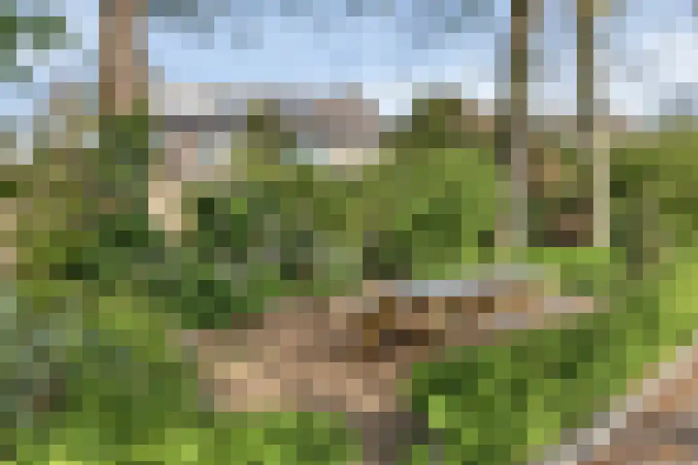 Prunusstraat 22 Oisterwijk thumbnail 50