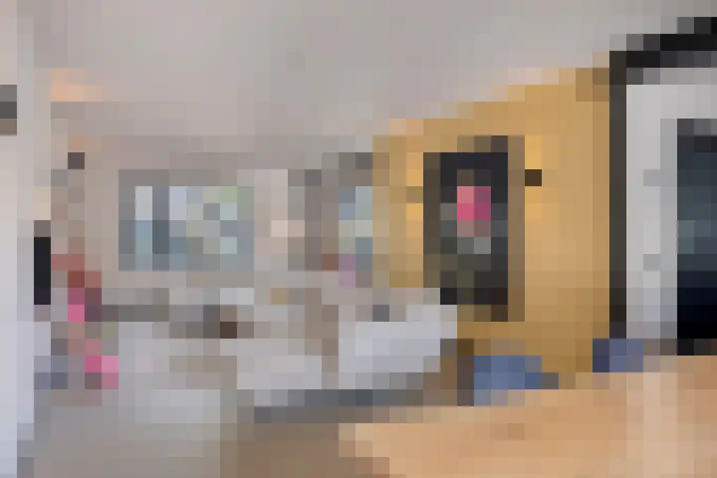 Prunusstraat 22 Oisterwijk thumbnail 8