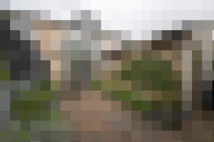 Prunusstraat 22 Winterswijk thumbnail 36