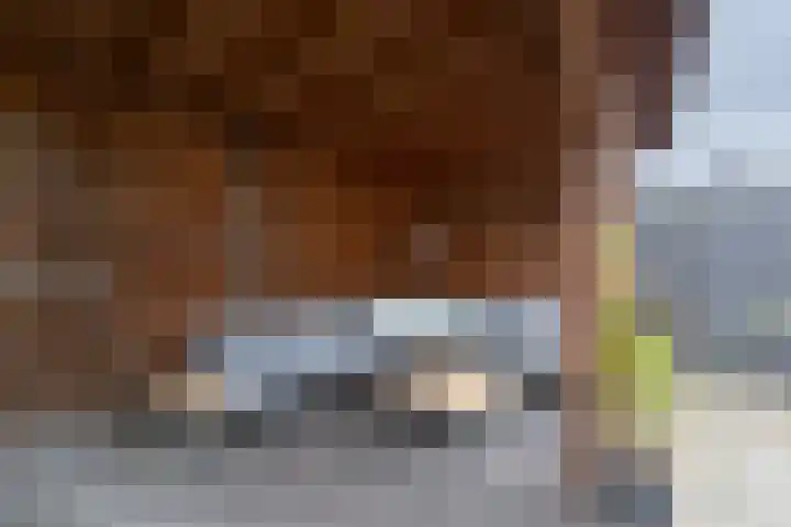 Prunusstraat 22 Winterswijk thumbnail 39