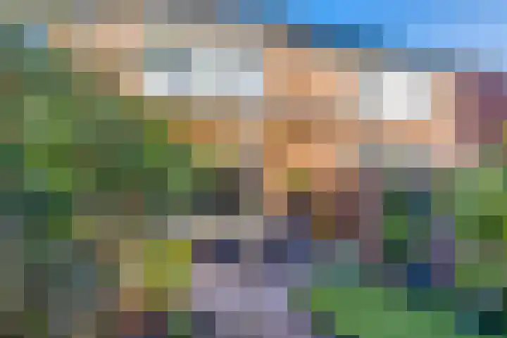 Prunusstraat 24 's-Gravenpolder thumbnail 29