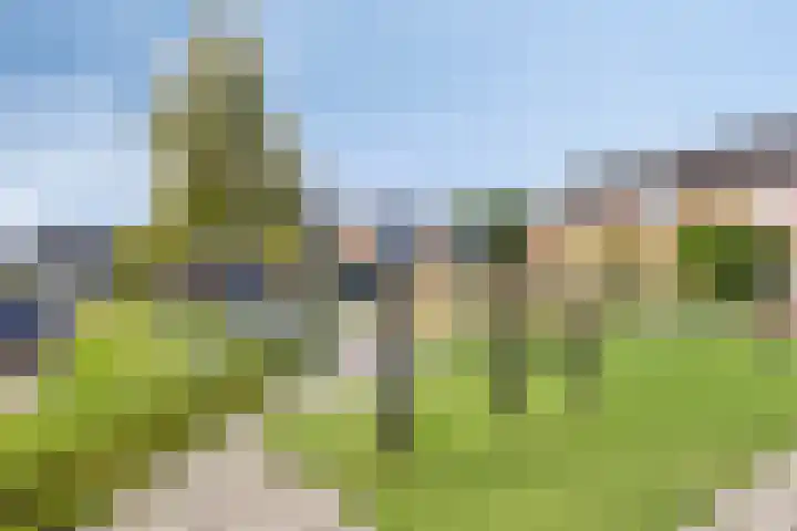 Prunusstraat 24 's-Gravenpolder thumbnail 30
