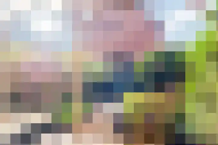Prunusstraat 24 's-Gravenpolder thumbnail 4