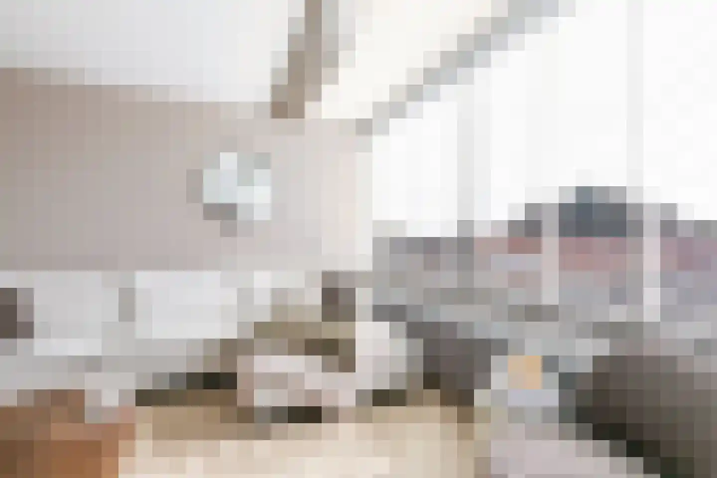 Prunusstraat 25 Tilburg thumbnail 22