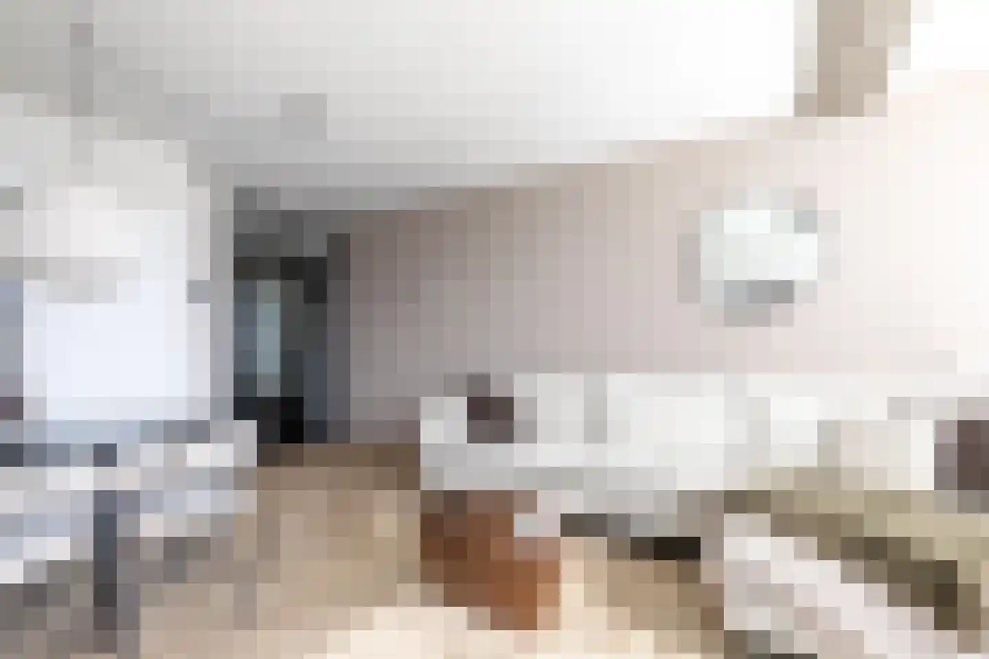 Prunusstraat 25 Tilburg thumbnail 23