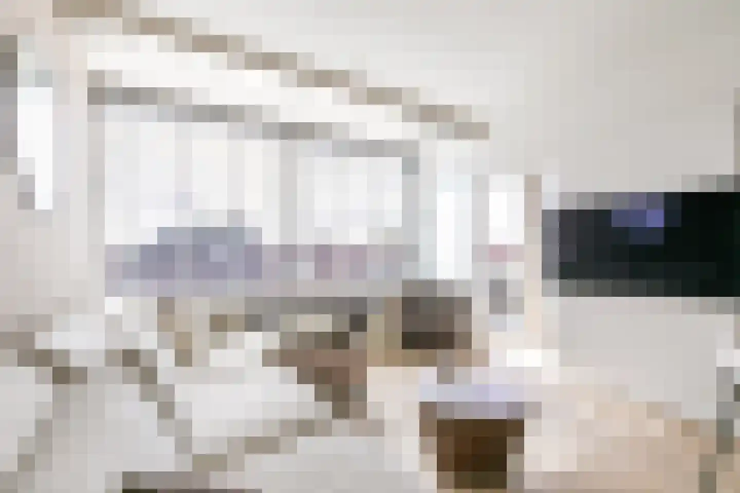 Prunusstraat 25 Tilburg thumbnail 24