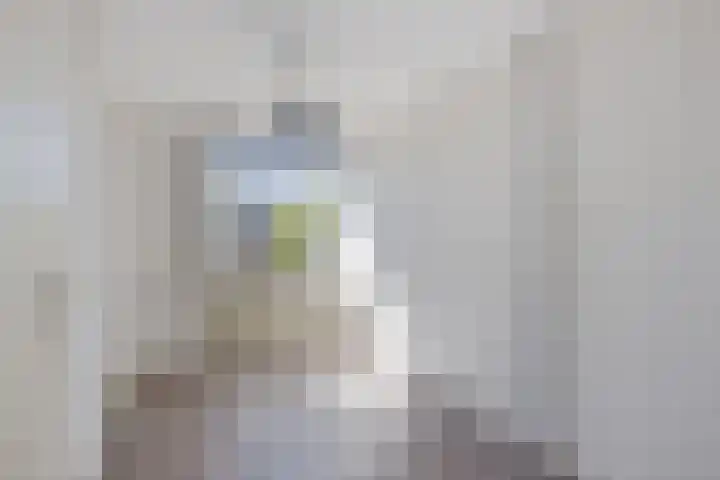 Prunusstraat 26 Leimuiden thumbnail 19