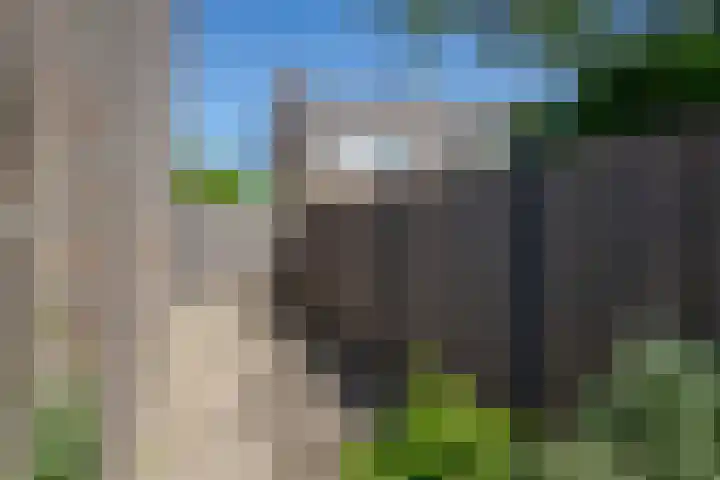 Prunusstraat 26 Leimuiden thumbnail 37