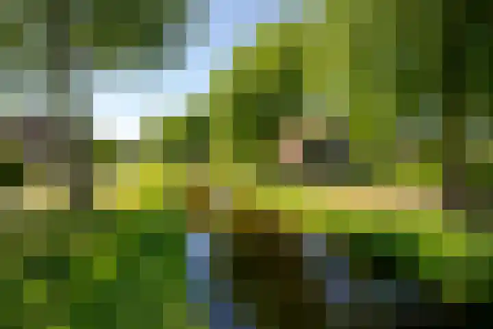 Prunusstraat 26 Leimuiden thumbnail 41