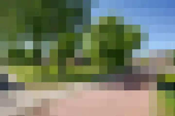Prunusstraat 26 Leimuiden thumbnail 42