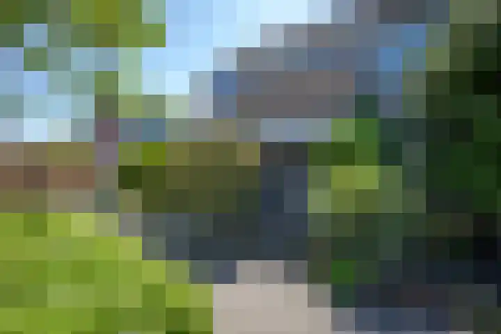 Prunusstraat 26 Leimuiden thumbnail 6