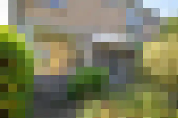 Prunusstraat 26 Leimuiden thumbnail 7