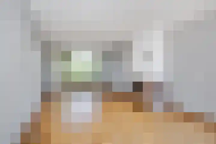Prunusstraat 26 Leimuiden thumbnail 9