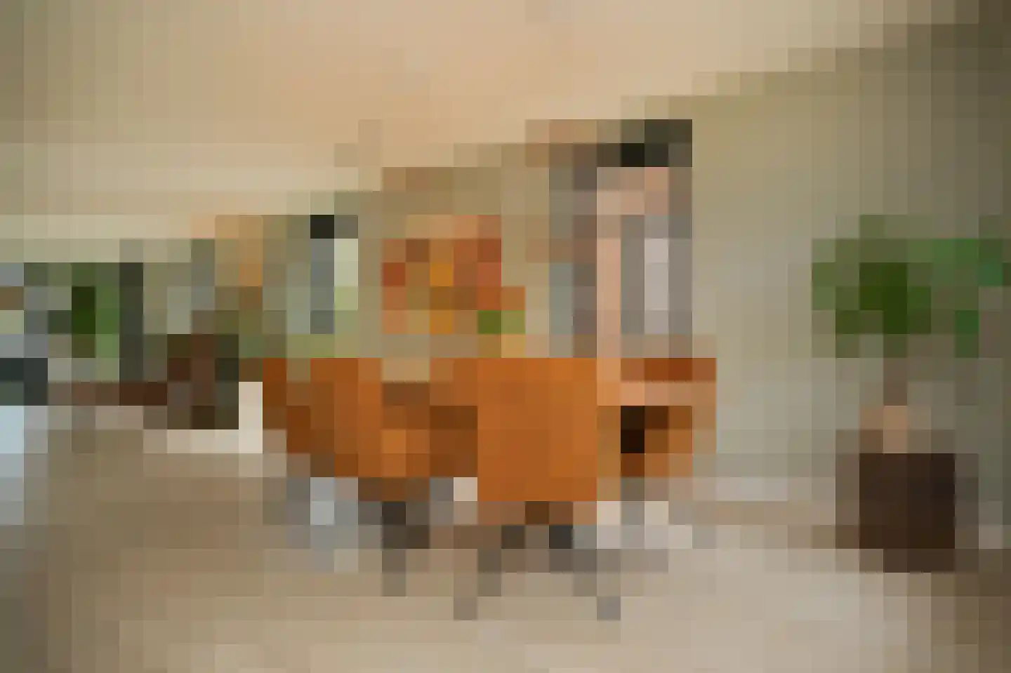 Prunusstraat 3 Ochten thumbnail 11
