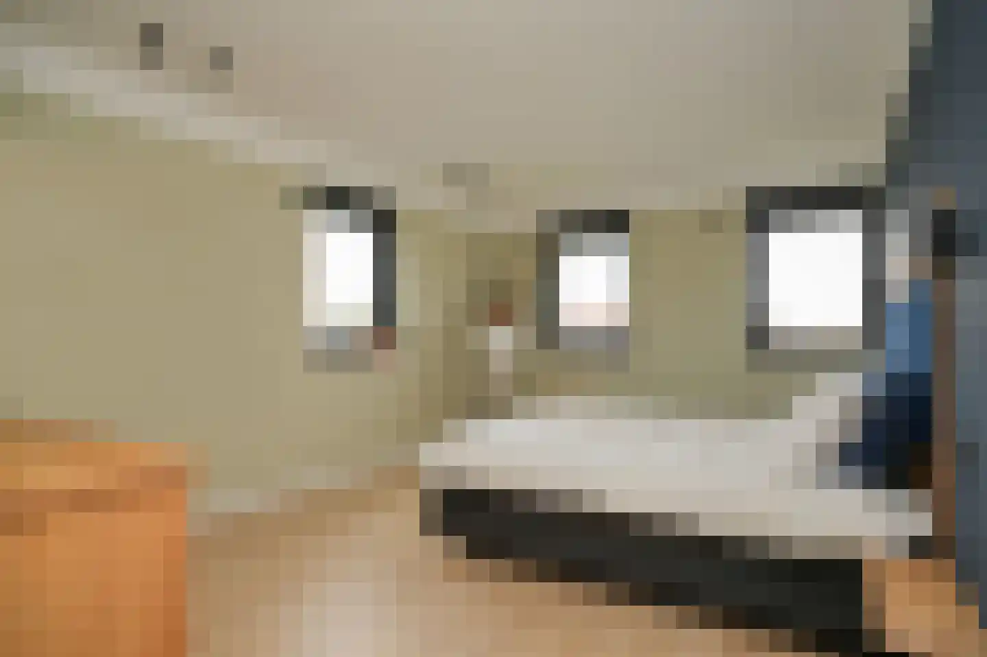 Prunusstraat 3 Ochten thumbnail 29