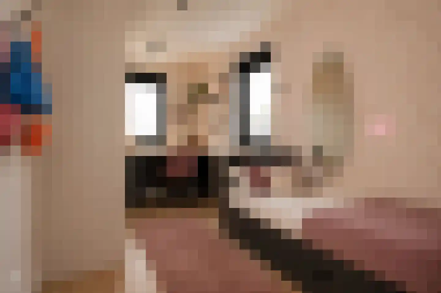 Prunusstraat 3 Ochten thumbnail 35
