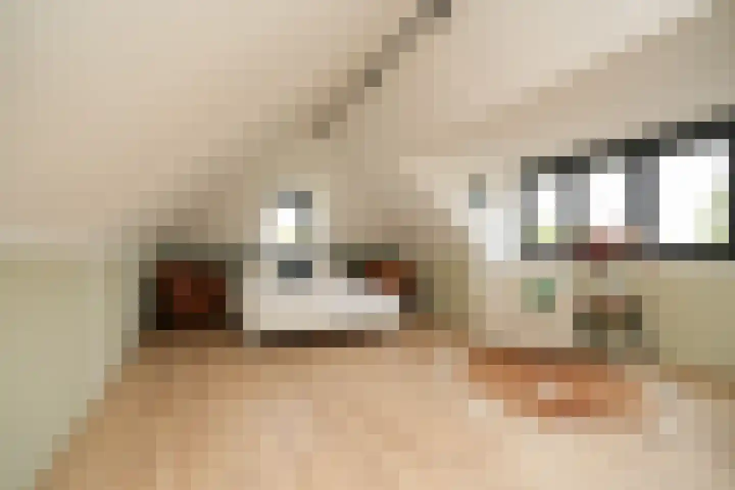 Prunusstraat 3 Ochten thumbnail 38
