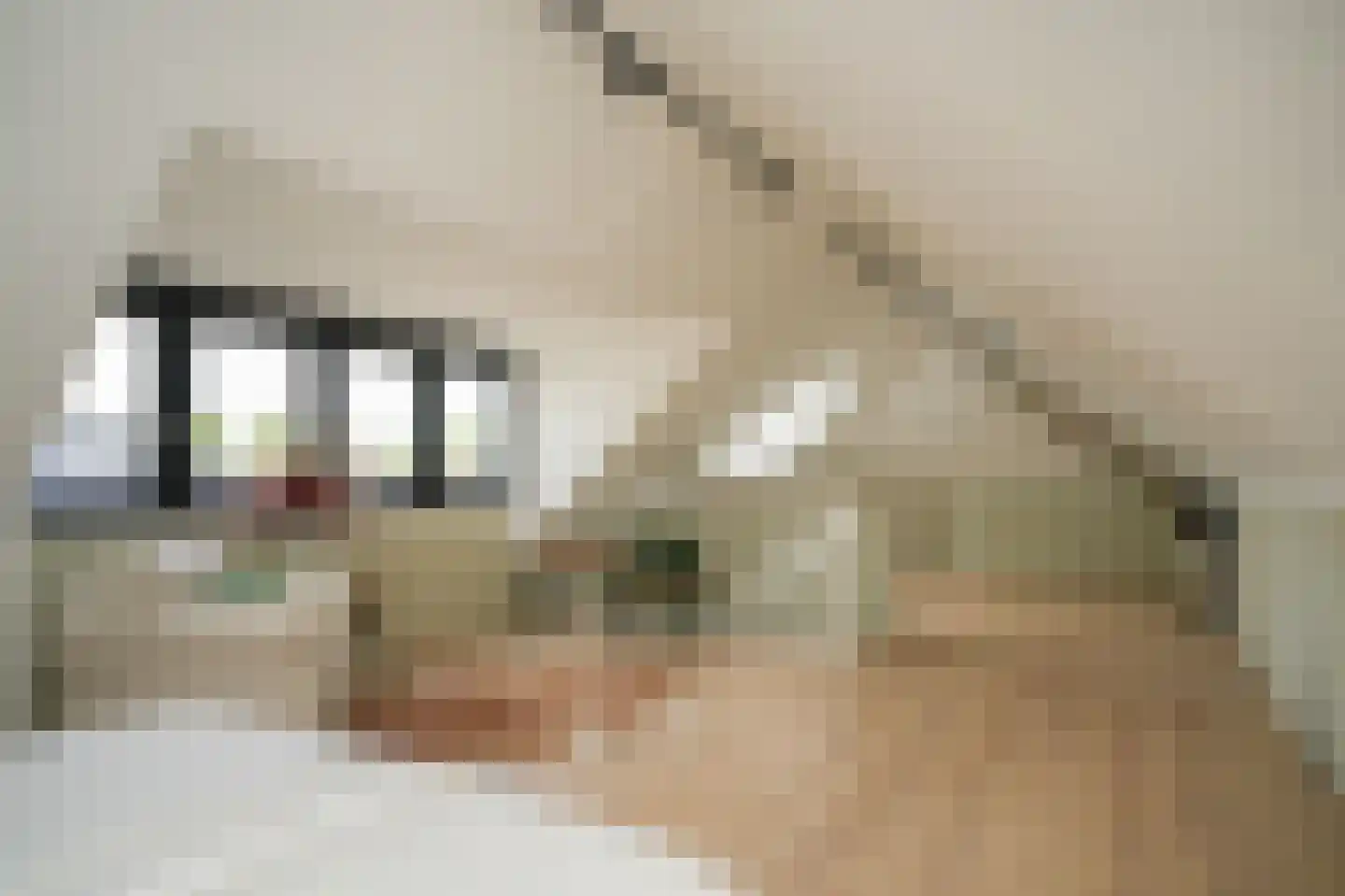 Prunusstraat 3 Ochten thumbnail 40