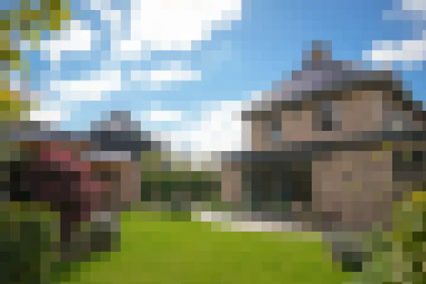 Prunusstraat 3 Ochten thumbnail 42