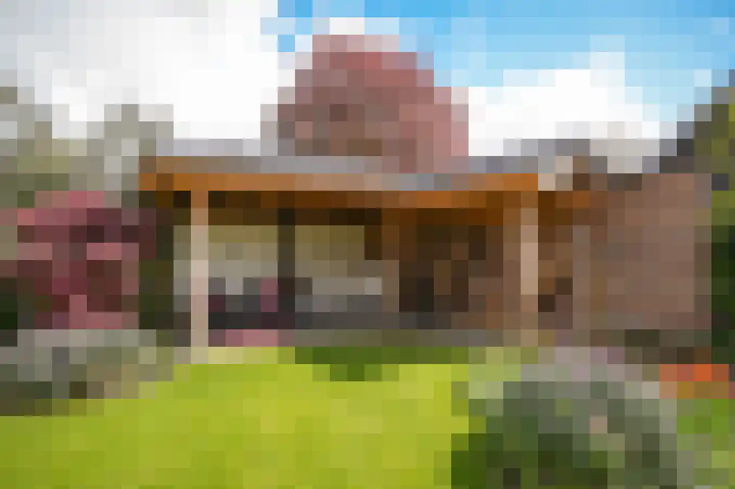 Prunusstraat 3 Ochten thumbnail 45