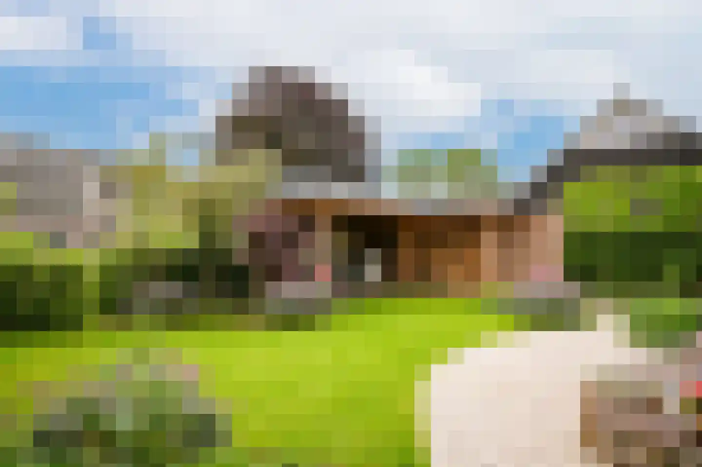 Prunusstraat 3 Ochten thumbnail 49