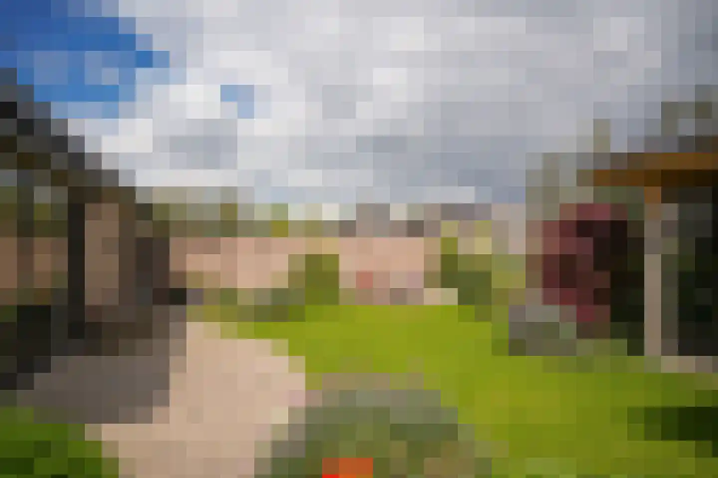 Prunusstraat 3 Ochten thumbnail 50