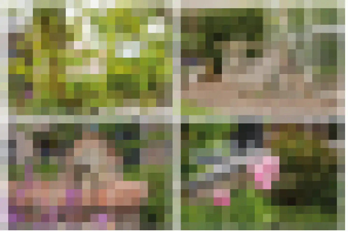 Prunusstraat 3 Ochten thumbnail 59
