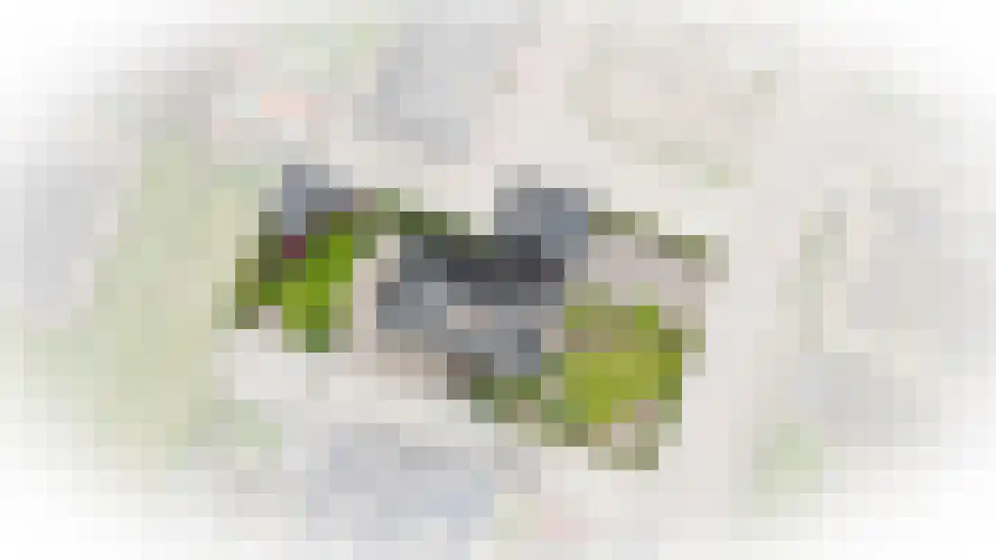 Prunusstraat 3 Ochten thumbnail 66